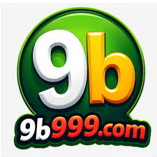 Registro no 9b999 com